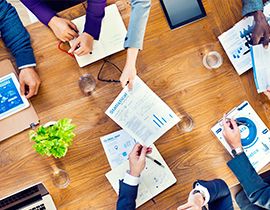 Project Management Professional