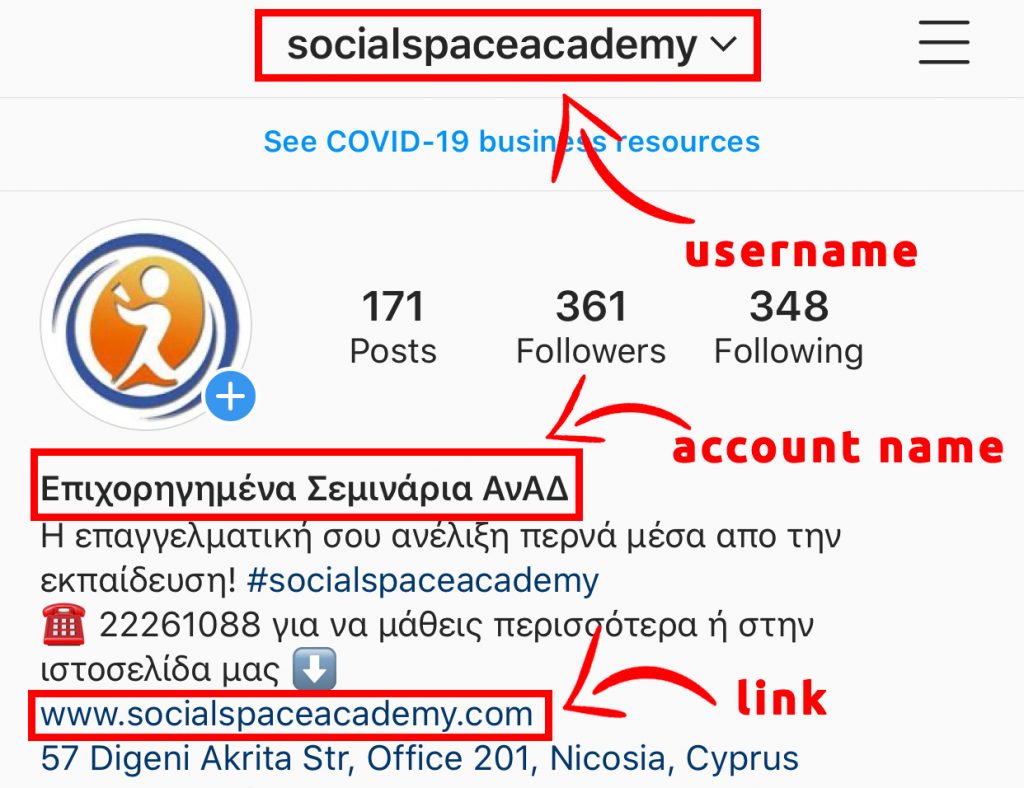 instagram-bio-article